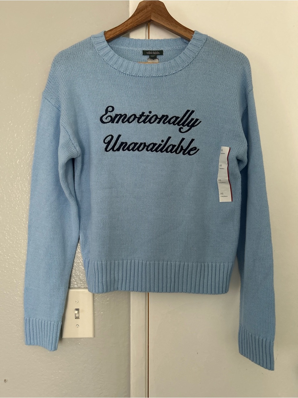wild fable Light Blue Crewneck Sweater with Script